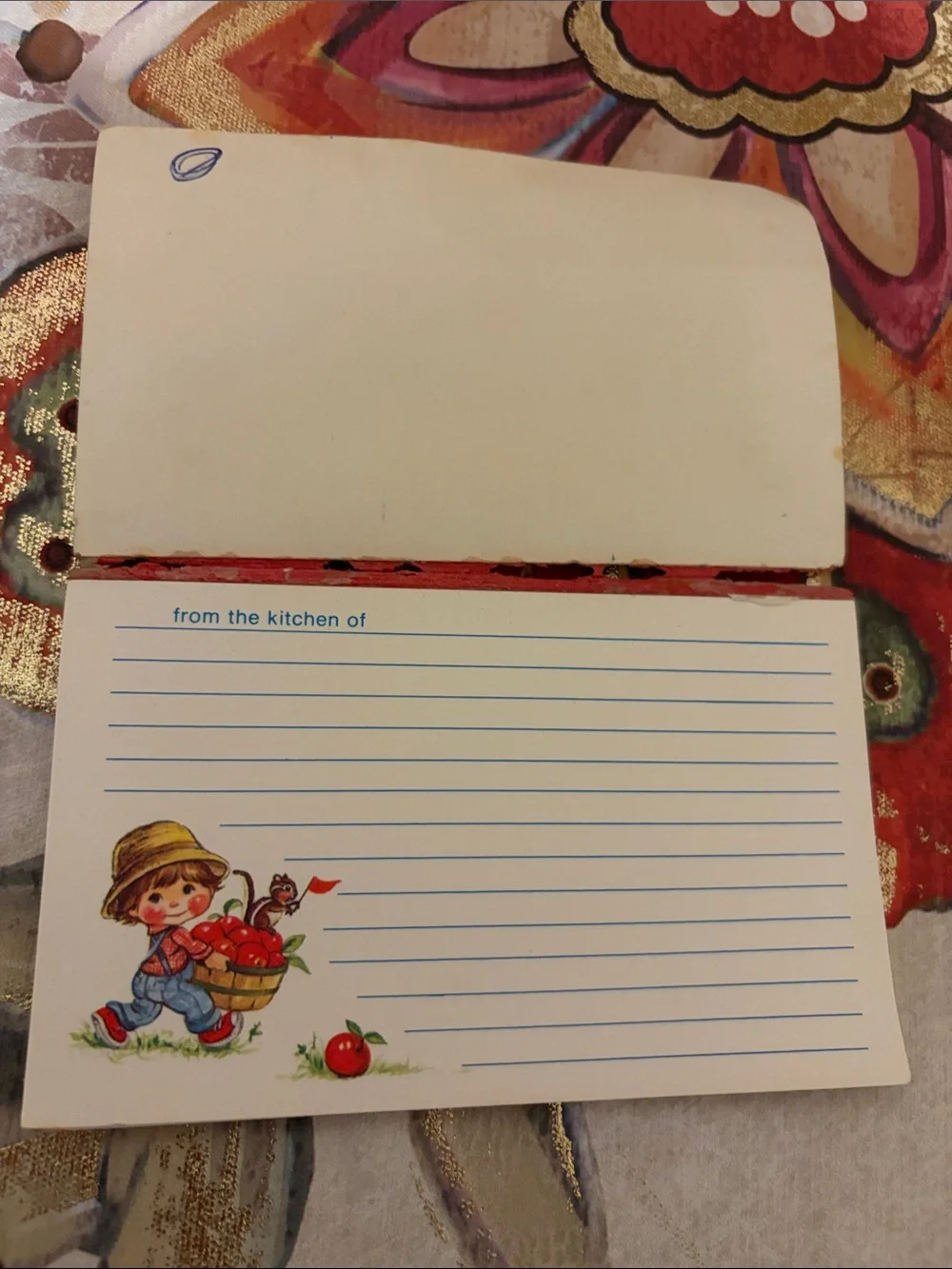 Apple Darlin’s Kids Recipe Card Set - Red Accent